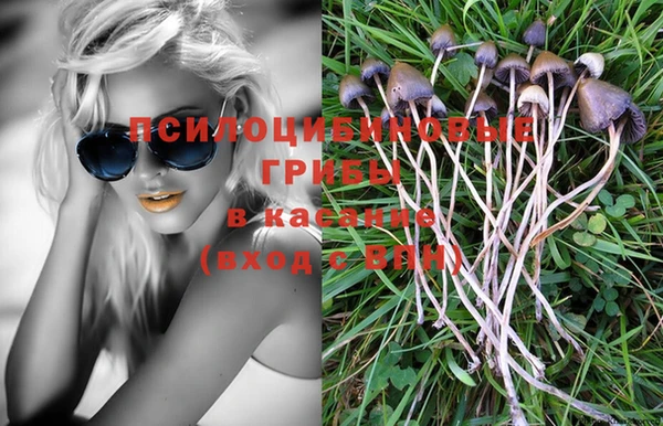 эйфоретик Нефтекумск